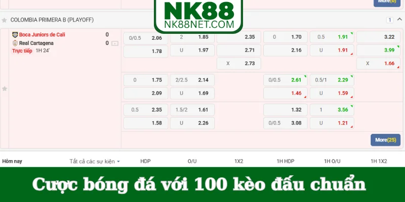 cuoc-bong-da-voi-100-keo-dau-chuan