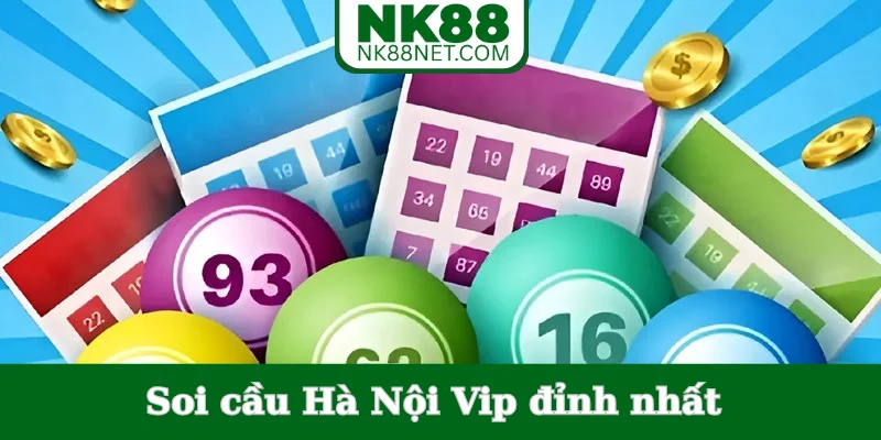 soi-cau-ha-noi-vip-dinh-nhat